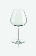 ANIMA PINOT NOIR 38OZ by Vidivi