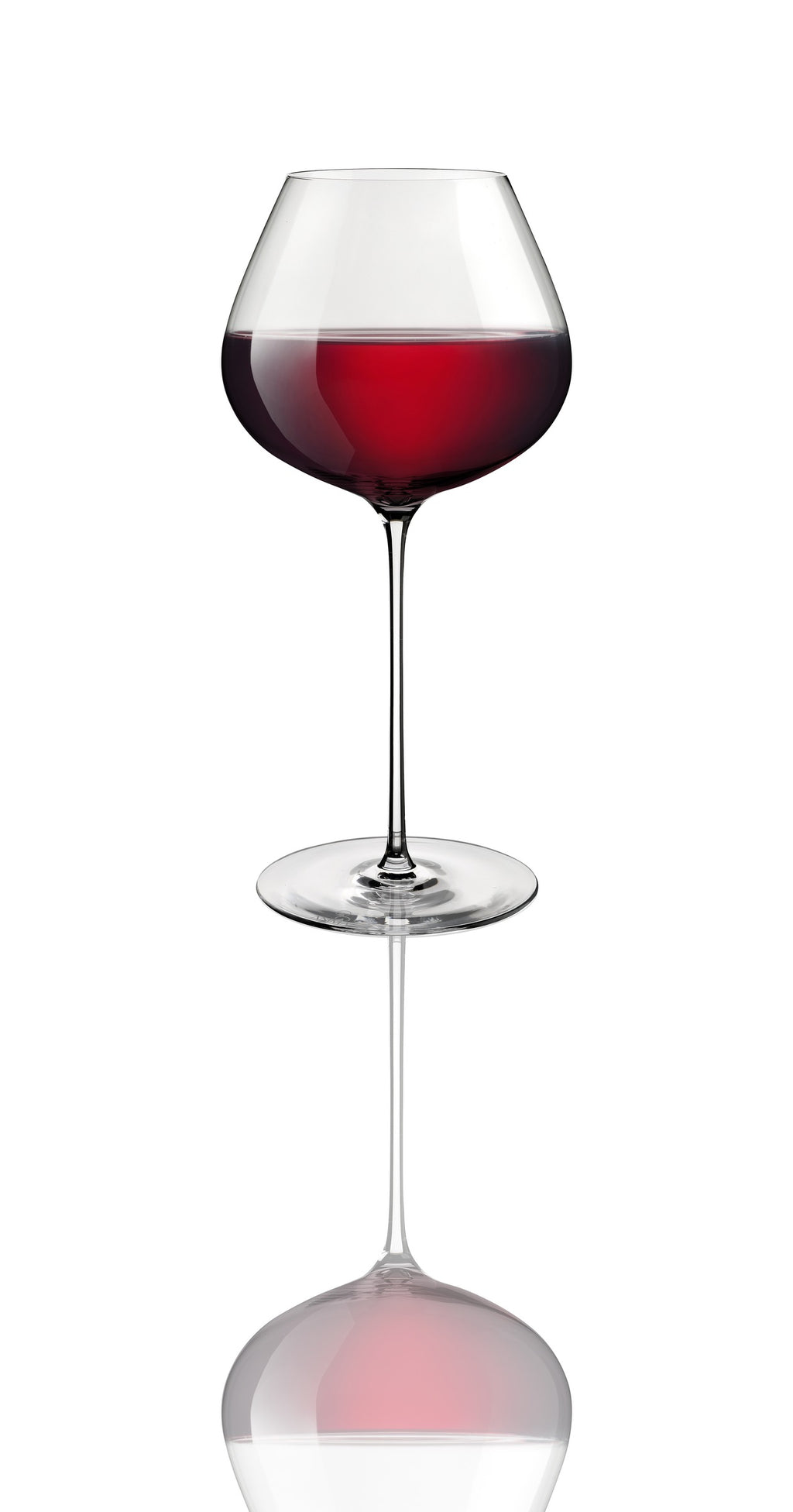 ANIMA SYRAH/SHIRAZ 23OZ by Vidivi