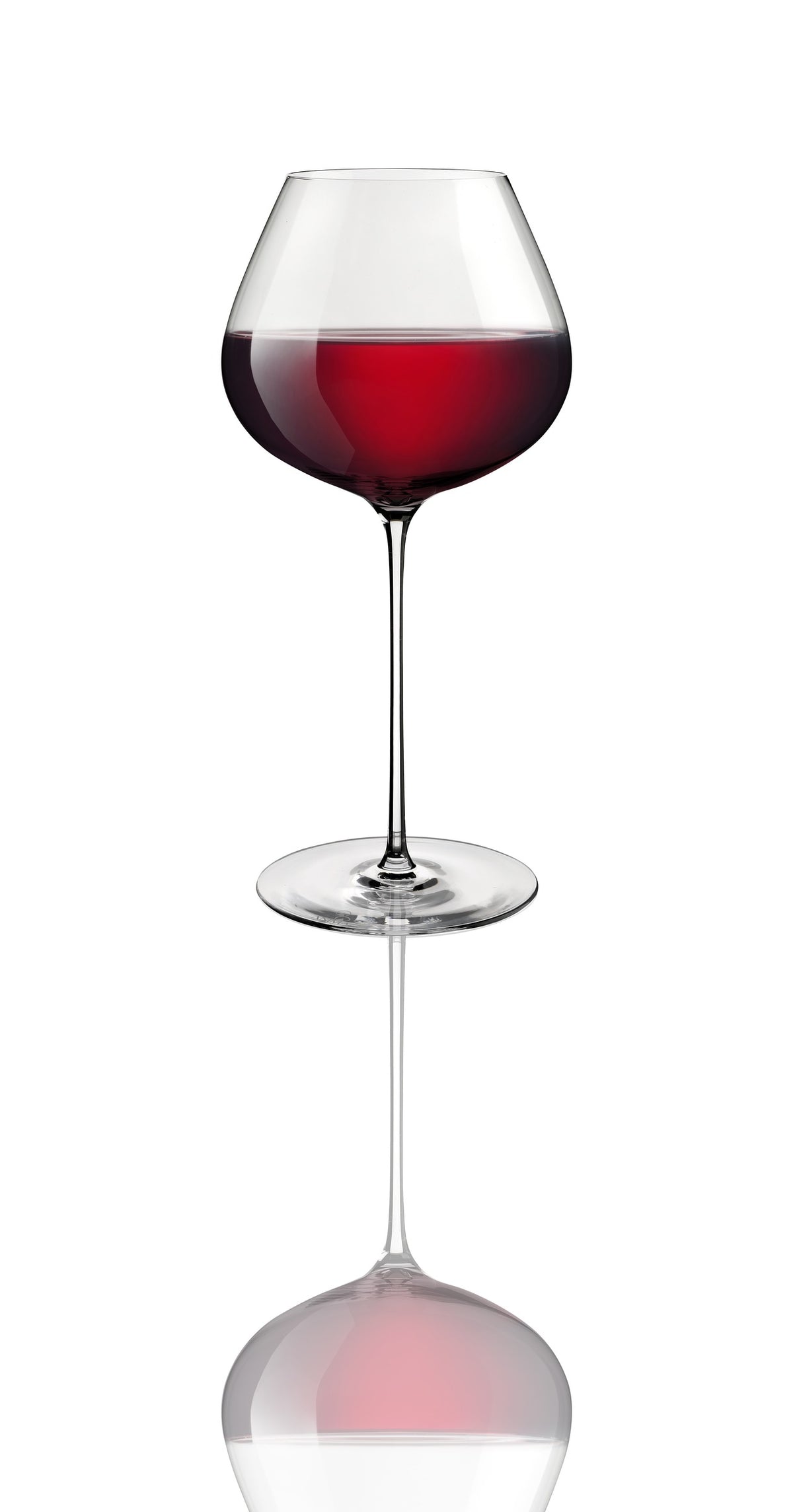 ANIMA SYRAH/SHIRAZ 23OZ by Vidivi