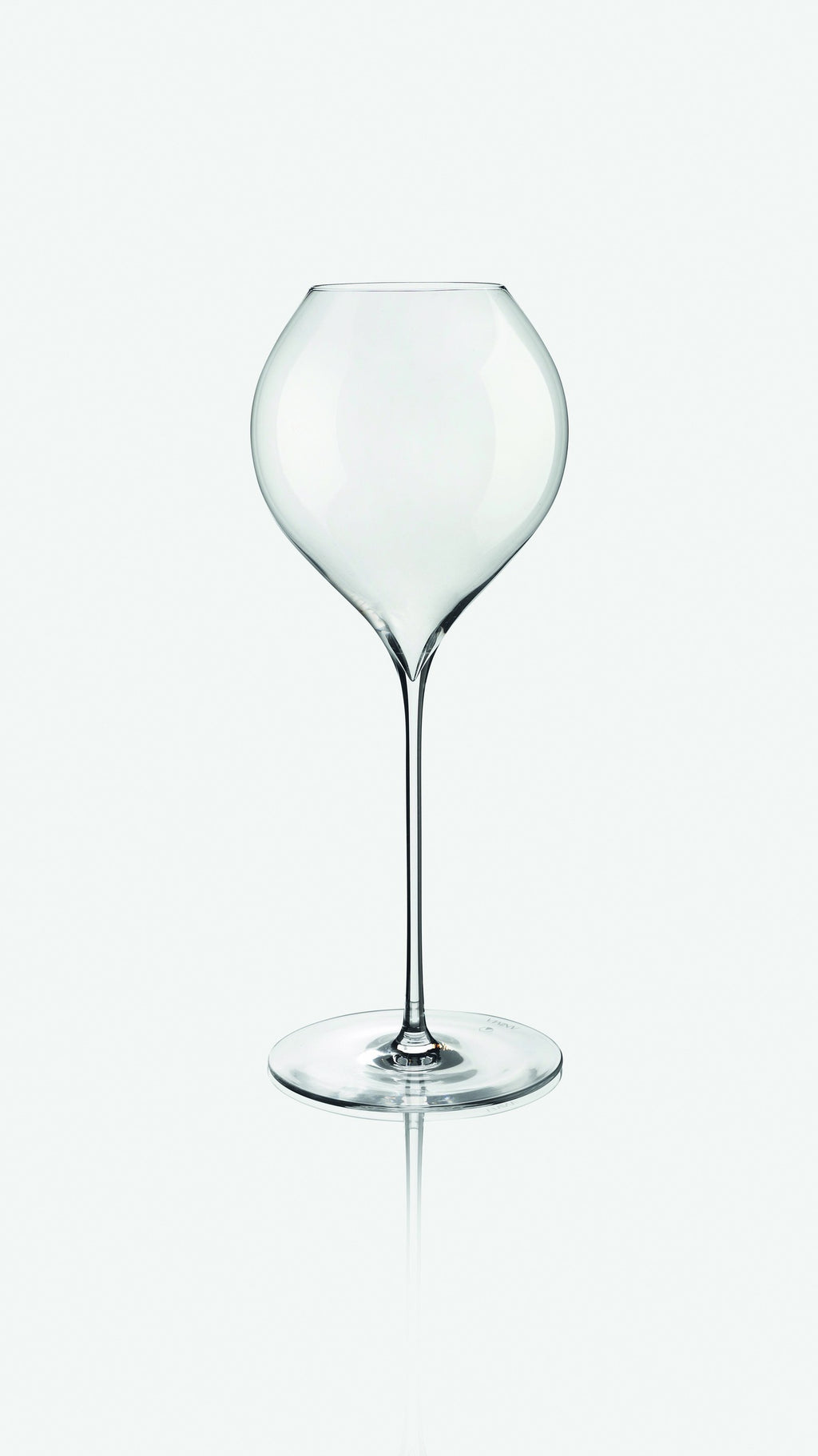 ANIMA RIESLING 20OZ by Vidivi