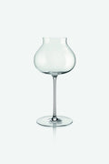 ANIMA CHAMPAGNE WINE GLASS 13OZ by Vidivi