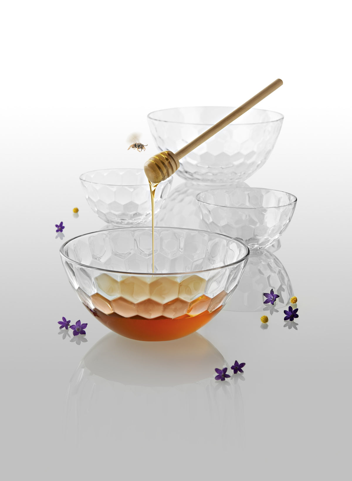 HONEY INDIVID.BOWL 5", 19OZ by Vidivi