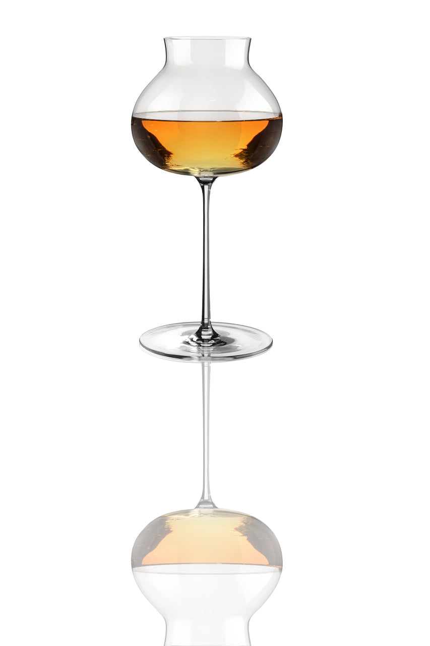 ANIMA CHAMPAGNE WINE GLASS 13OZ by Vidivi